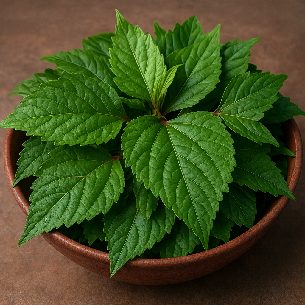Hibiscus leaves (bissap) – kuchnia zachodnioafrykańska